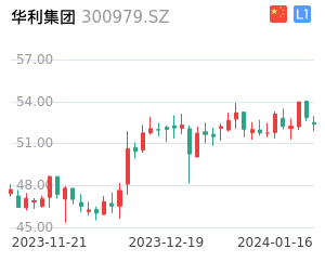 华利集团股票整体分析报告