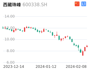 西藏珠峰股票整体分析报告