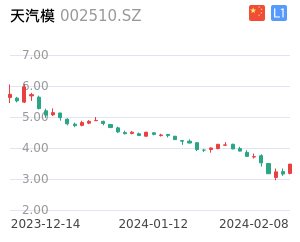 天汽模股票整体分析报告