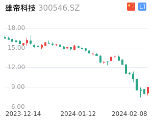 雄帝科技K线分析报告