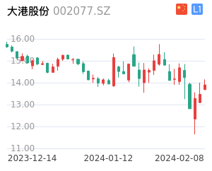 大港股份股票整体分析报告