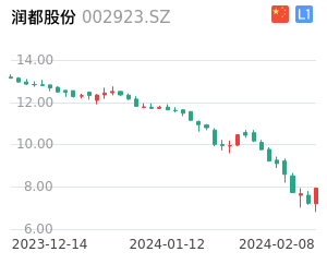 润都股份股票整体分析报告