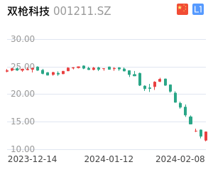双枪科技股票整体分析报告