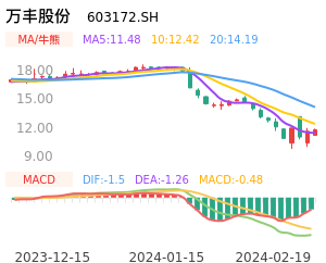 万丰股份买卖点分析