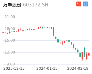 万丰股份股票整体分析报告