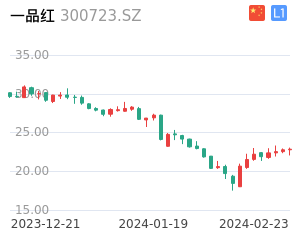 一品红股票整体分析报告