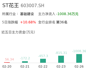 ST花王主力资金流向