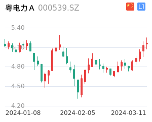 粤电力A股票整体分析报告