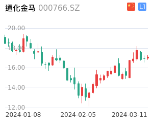 通化金马股票整体分析报告