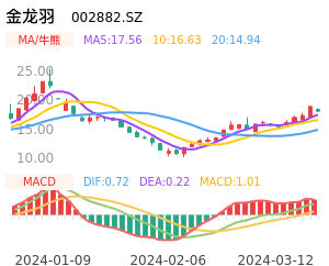 金龙羽买卖点分析