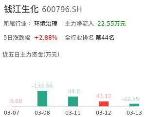 钱江生化主力资金流向