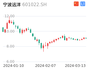 宁波远洋股票整体分析报告