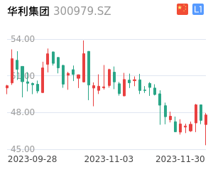 华利集团股票整体分析报告