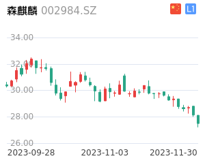 森麒麟走势分析
