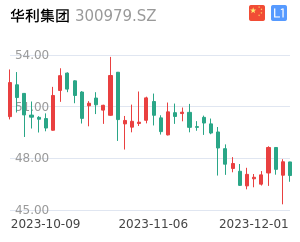 华利集团股票整体分析报告