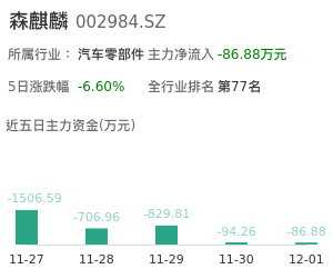 森麒麟主力资金流向