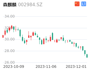 森麒麟股票整体分析报告