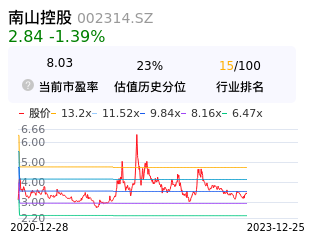 南山控股估值分析