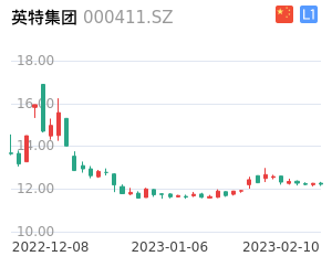 英特集团股票整体分析报告