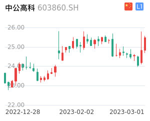 中公高科股票整体分析报告