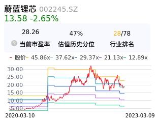 蔚蓝锂芯估值分析