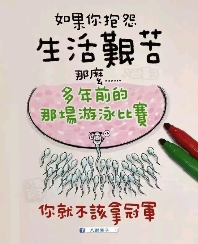 市来清也 倉庫概論 苹果链核心PCB公司——东山精密_九方智投