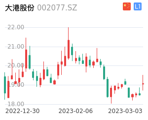 大港股份股票整体分析报告