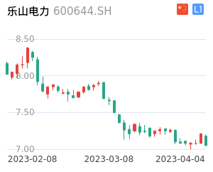 乐山电力股票整体分析报告
