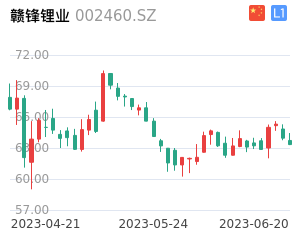 赣锋锂业股票整体分析报告