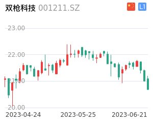 双枪科技股票整体分析报告