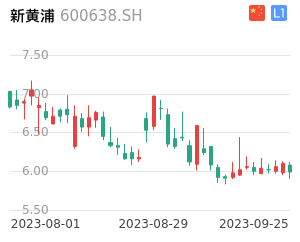 新黄浦走势分析