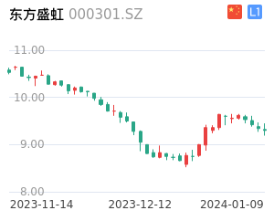 东方盛虹股票整体分析报告