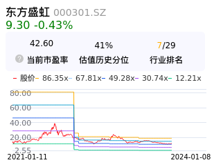 东方盛虹估值分析