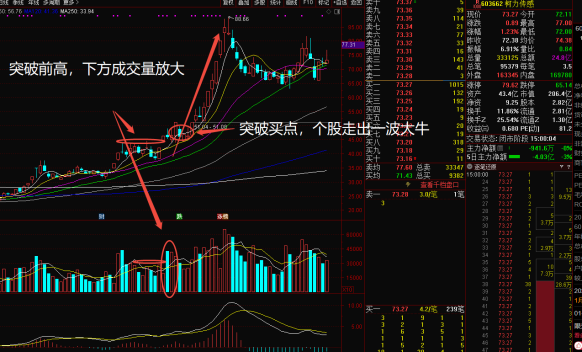 e720dc8c-6695-42a5-b8f0-02426c11ae61.png