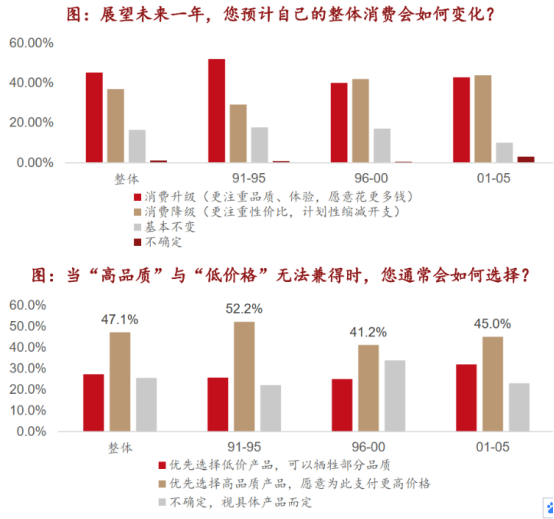 新消费行业系列报告——Z世代消费者调研(来源：西部证券)